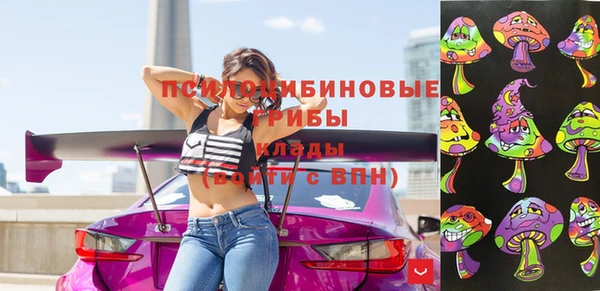 соль ск Абаза
