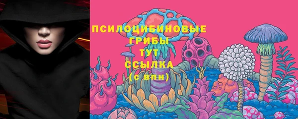 ГАЛЛЮЦИНОГЕННЫЕ ГРИБЫ Алексеевка