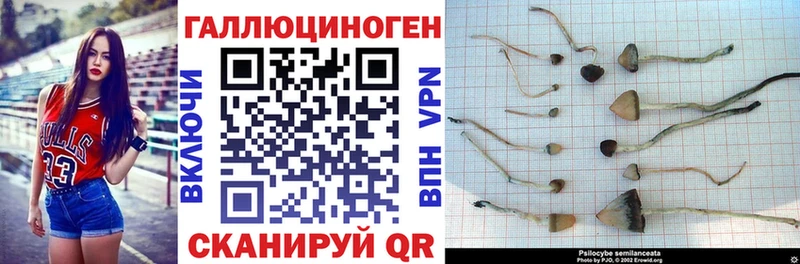 дарк нет формула  Кинешма  Галлюциногенные грибы прущие грибы 