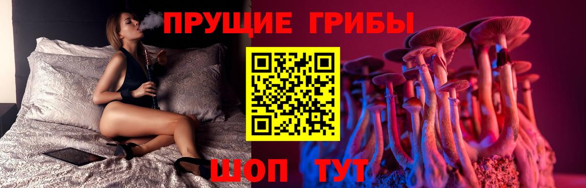 Галлюциногенные грибы Psilocybe  дарнет шоп  Кинешма  Псилоцибиновые грибы GOLDEN TEACHER  Вход с VPN 