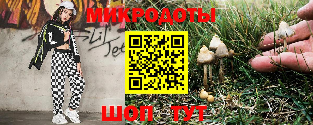 Галлюциногенные грибы ЛСД Кинешма
