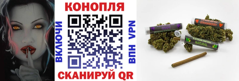 KRAKEN вход Кинешма Шишки марихуана White Widow